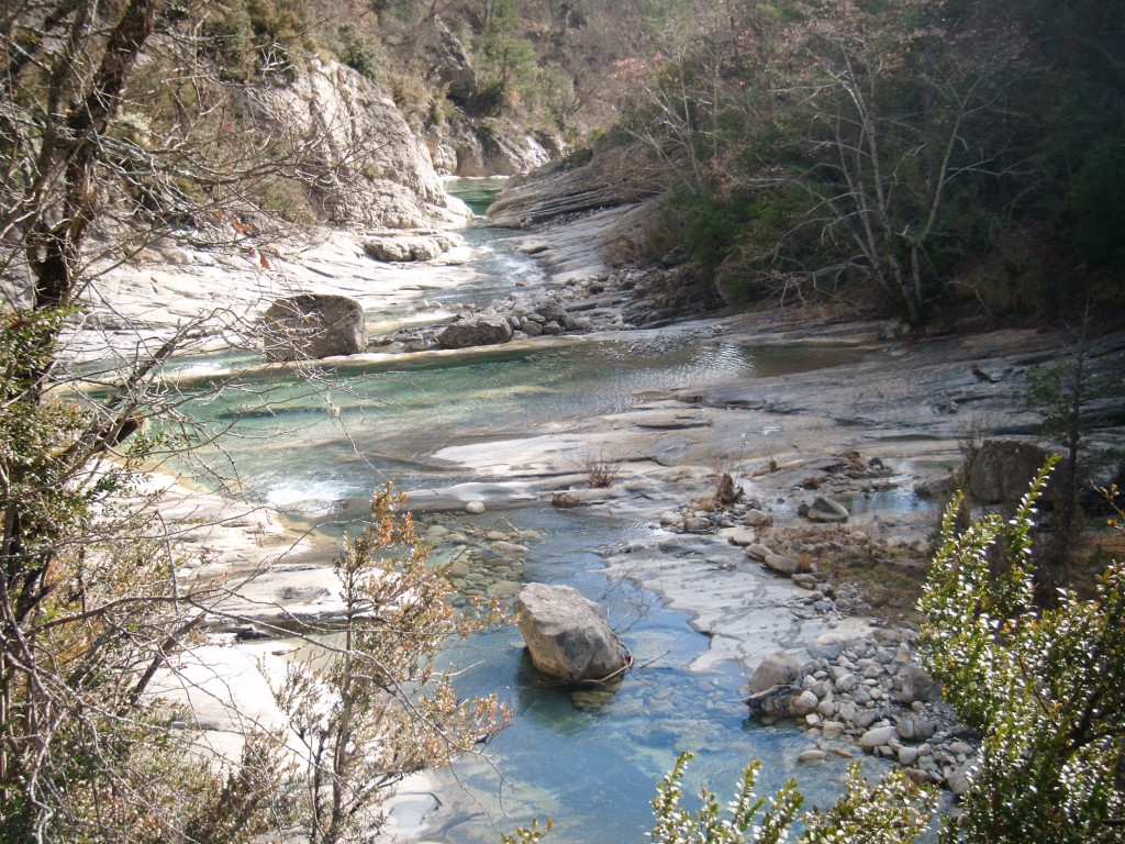 Río Yesa